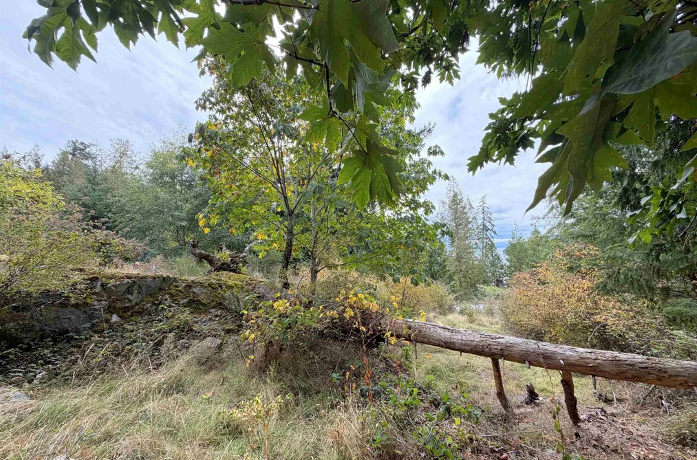 Lot 66 Packalen Boulevard, Garden Bay, BC - MLS: R3162822 - Photo 15 Lot 66 Packalen Boulevard, Garden Bay, BC - MLS: R3162822 - Photo 15