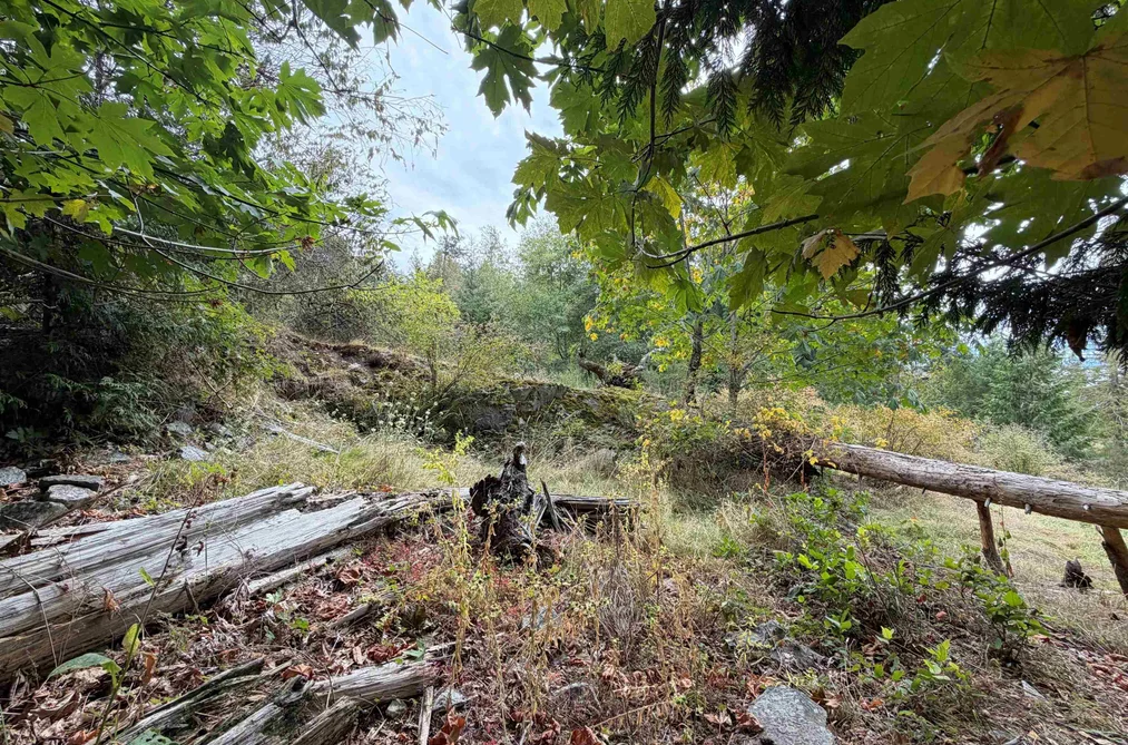 Lot 66 Packalen Boulevard, Garden Bay, BC - MLS: R3162822 - Photo 16 Lot 66 Packalen Boulevard, Garden Bay, BC - MLS: R3162822 - Photo 16