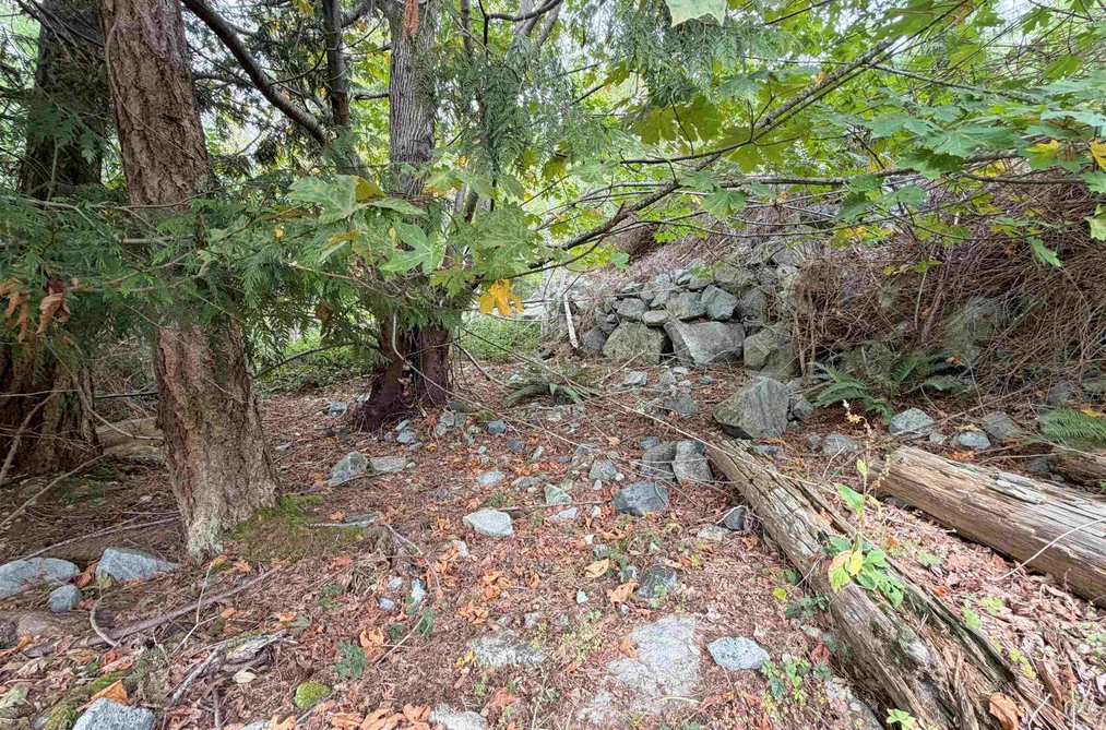 Lot 66 Packalen Boulevard, Garden Bay, BC - MLS: R3162822 - Photo 18 Lot 66 Packalen Boulevard, Garden Bay, BC - MLS: R3162822 - Photo 18