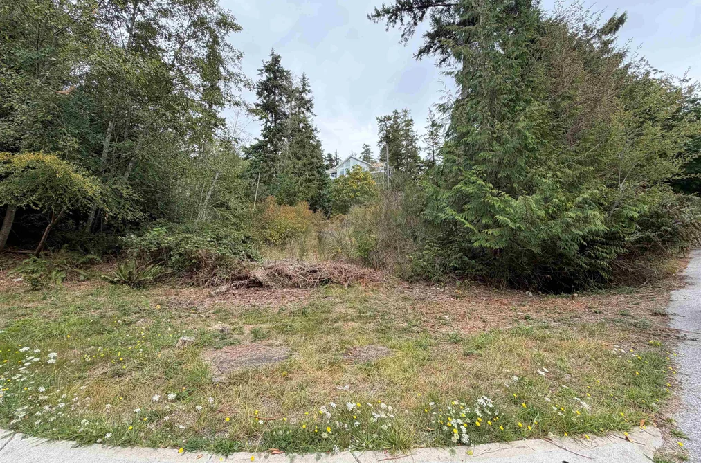 Lot 66 Packalen Boulevard, Garden Bay, BC - MLS: R3162822 - Photo 4 Lot 66 Packalen Boulevard, Garden Bay, BC - MLS: R3162822 - Photo 4