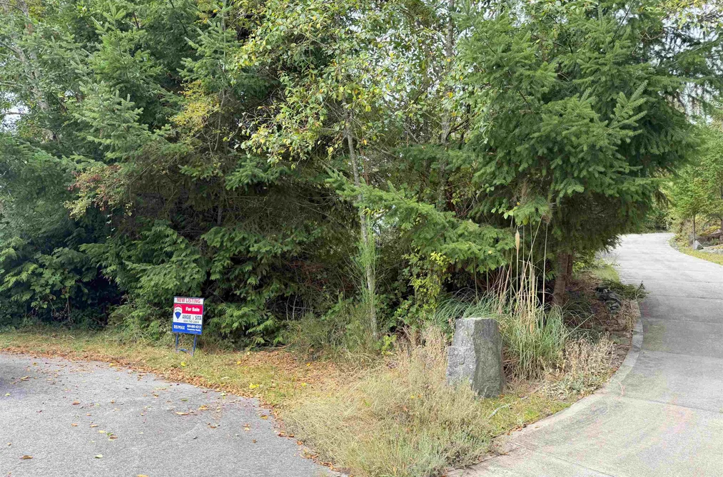 Lot 66 Packalen Boulevard, Garden Bay, BC - MLS: R3162822 - Photo 5 Lot 66 Packalen Boulevard, Garden Bay, BC - MLS: R3162822 - Photo 5