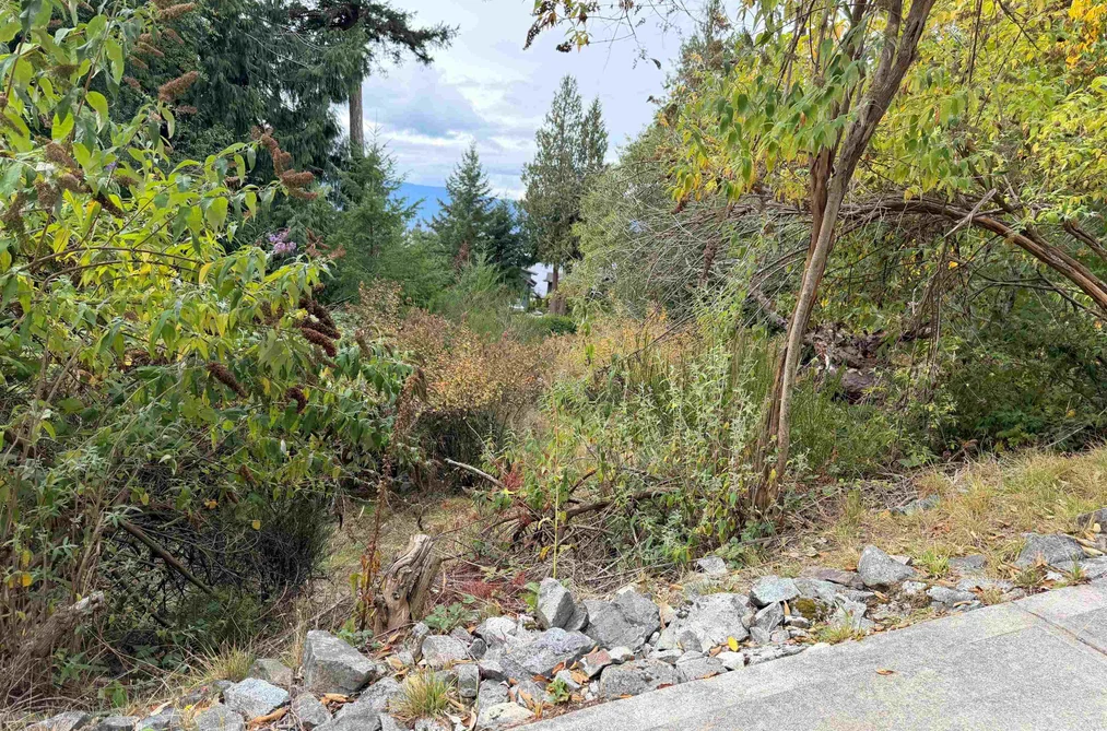 Lot 66 Packalen Boulevard, Garden Bay, BC - MLS: R3162822 - Photo 6 Lot 66 Packalen Boulevard, Garden Bay, BC - MLS: R3162822 - Photo 6