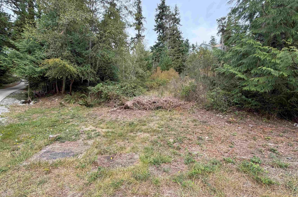 Lot 66 Packalen Boulevard, Garden Bay, BC - MLS: R3162822 - Photo 7 Lot 66 Packalen Boulevard, Garden Bay, BC - MLS: R3162822 - Photo 7