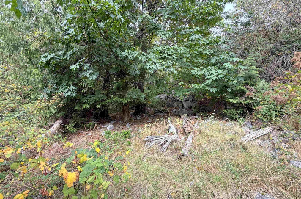 Lot 66 Packalen Boulevard, Garden Bay, BC - MLS: R3162822 - Photo 8 Lot 66 Packalen Boulevard, Garden Bay, BC - MLS: R3162822 - Photo 8