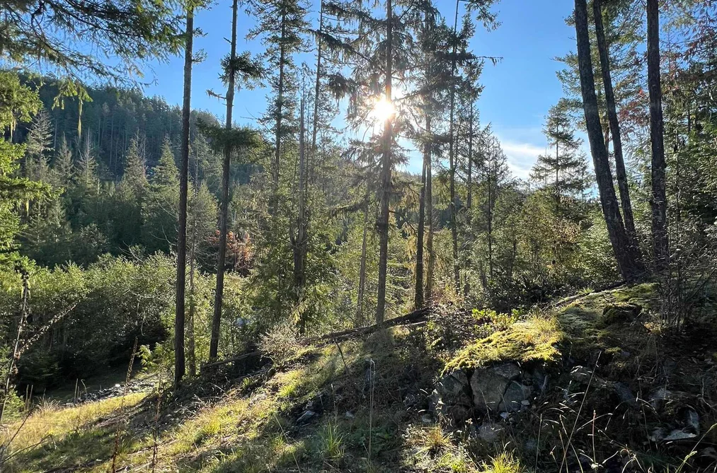 Property for sale at Lot 7 13685 Lee Road Garden Bay British Columbia - MLS: R2979518