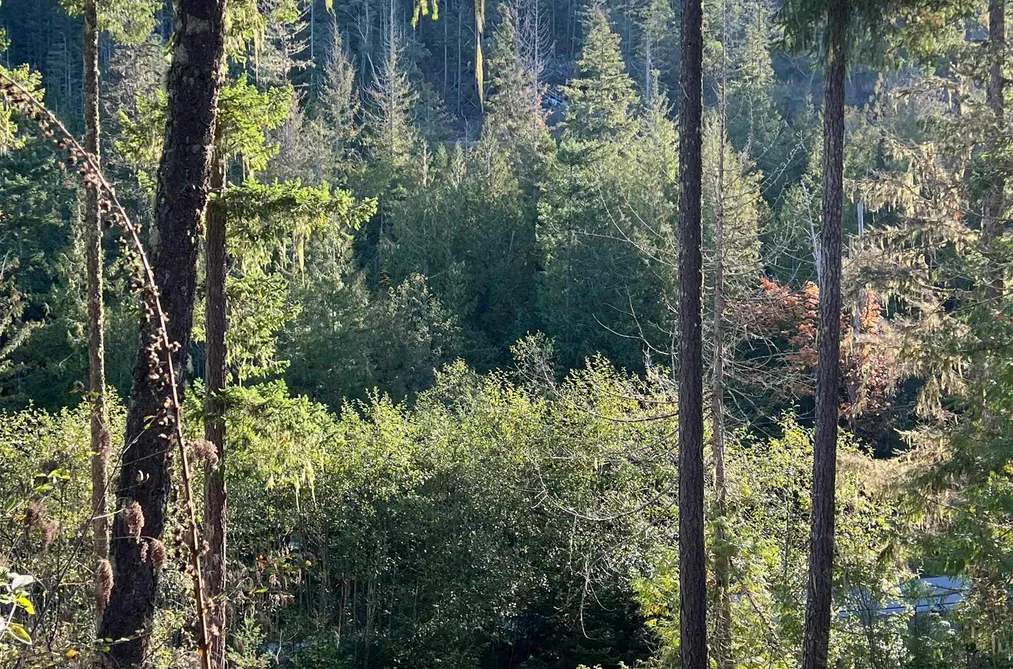 LOT 7 13685 LEE ROAD, Garden Bay BC V0N 1S1, Garden Bay BC — Land for Sale - Photo 4