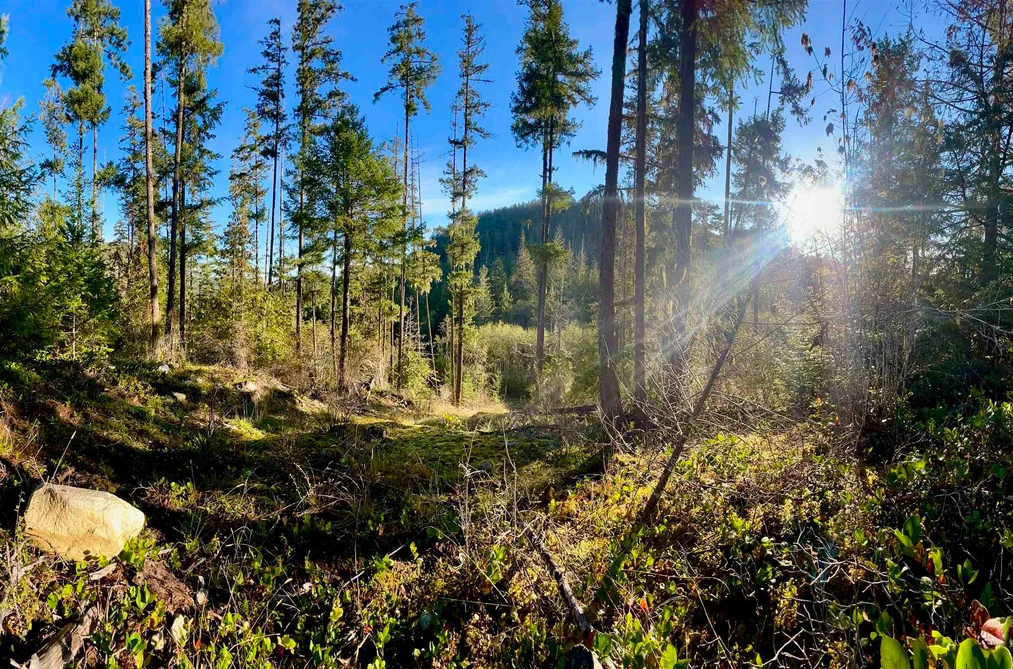 LOT 7 13685 LEE ROAD, Garden Bay BC V0N 1S1, Garden Bay BC — Land for Sale - Photo 5
