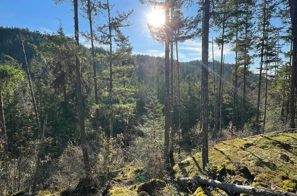 LOT 7 13685 LEE ROAD, Garden Bay BC V0N 1S1, Garden Bay BC — Land for Sale - Photo 6