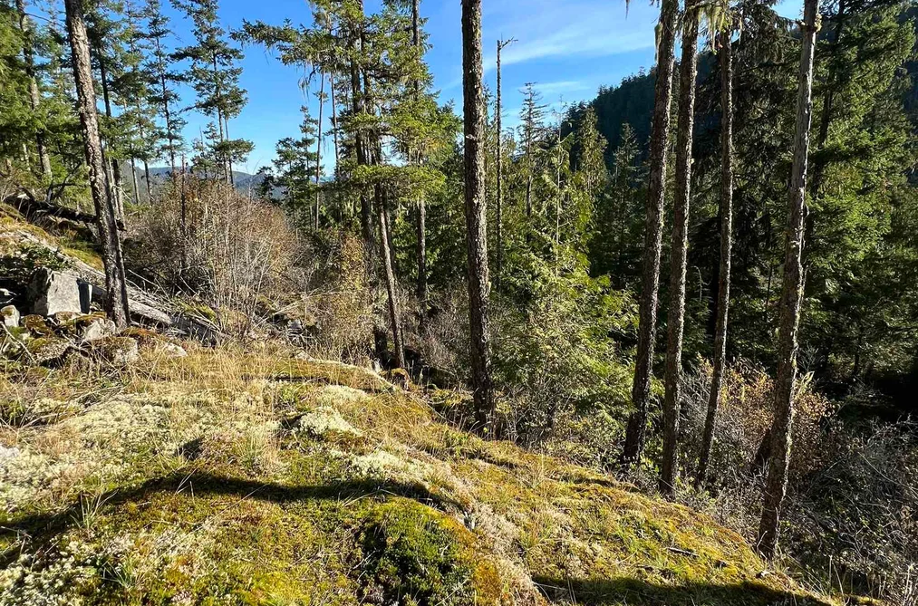 LOT 7 13685 LEE ROAD, Garden Bay BC V0N 1S1, Garden Bay BC — Land for Sale - Photo 7