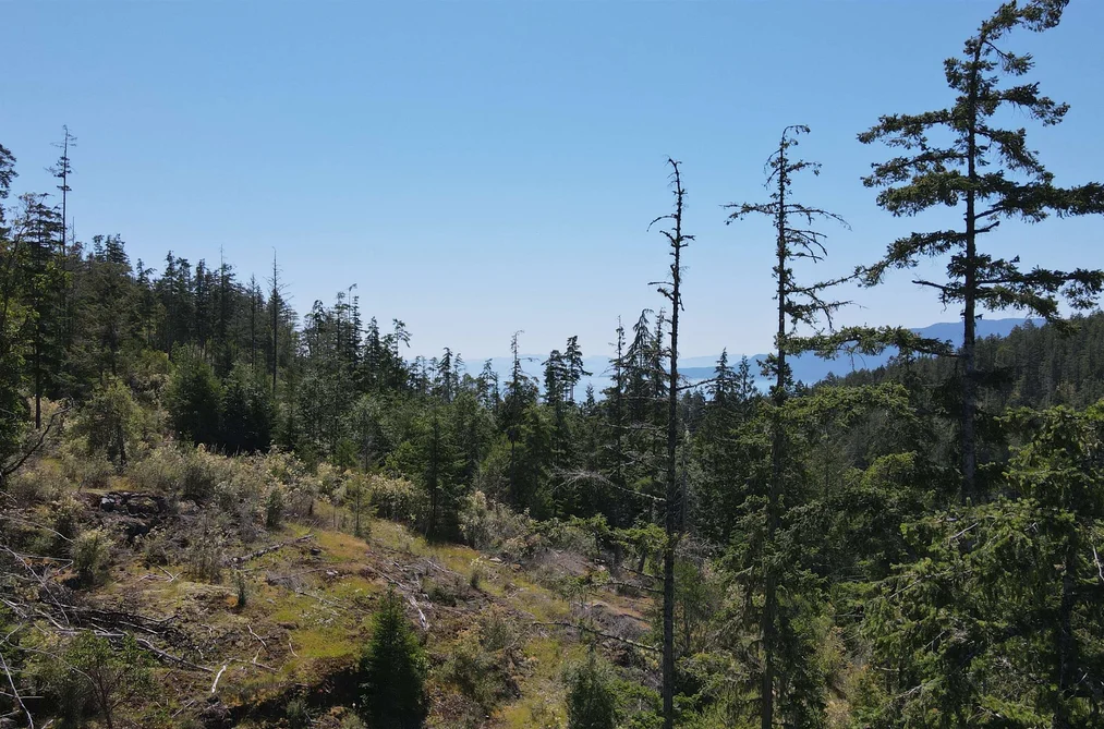 Lot 7 13803 LEE ROAD, Pender Harbour BC V0N 1S1, Pender Harbour BC — Land for Sale - Photo 6