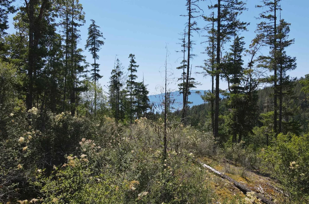 Lot 7 13803 LEE ROAD, Pender Harbour BC V0N 1S1, Pender Harbour BC — Land for Sale - Photo 7
