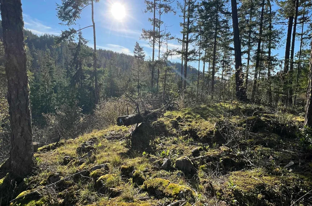 Property for sale at Lot 8 13685 Lee Road Garden Bay British Columbia - MLS: R2979523