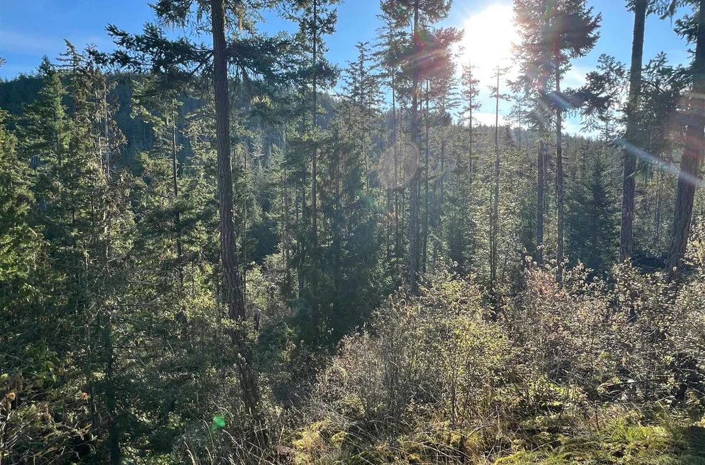 LOT 8 13685 LEE ROAD, Garden Bay BC V0N 1S1, Garden Bay BC — Land for Sale - Photo 4