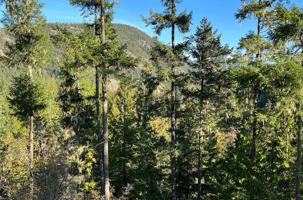 LOT 8 13685 LEE ROAD, Garden Bay BC V0N 1S1, Garden Bay BC — Land for Sale - Photo 5