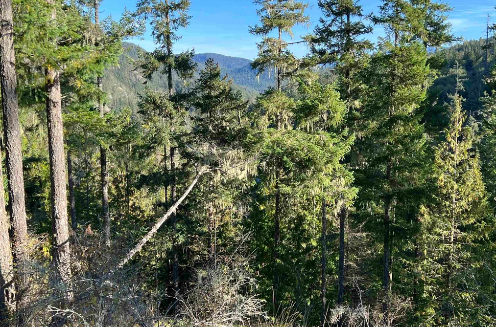 LOT 8 13685 LEE ROAD, Garden Bay BC V0N 1S1, Garden Bay BC — Land for Sale - Photo 6