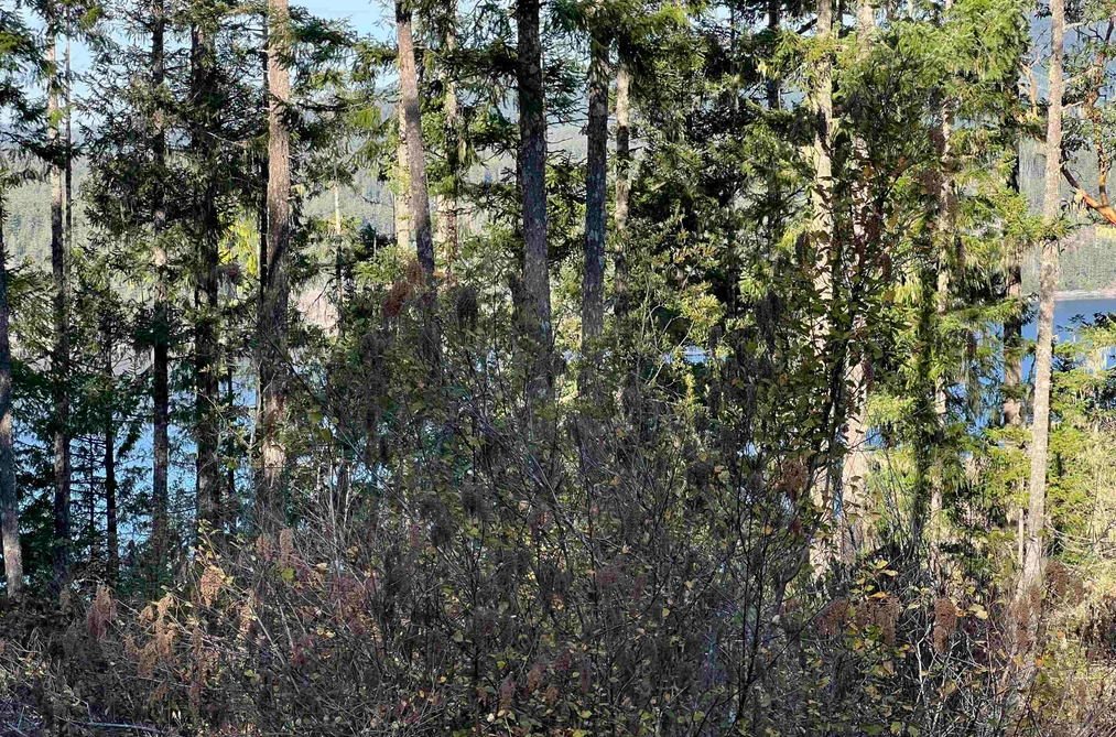 LOT 8 13685 LEE ROAD, Garden Bay BC V0N 1S1, Garden Bay BC — Land for Sale - Photo 7