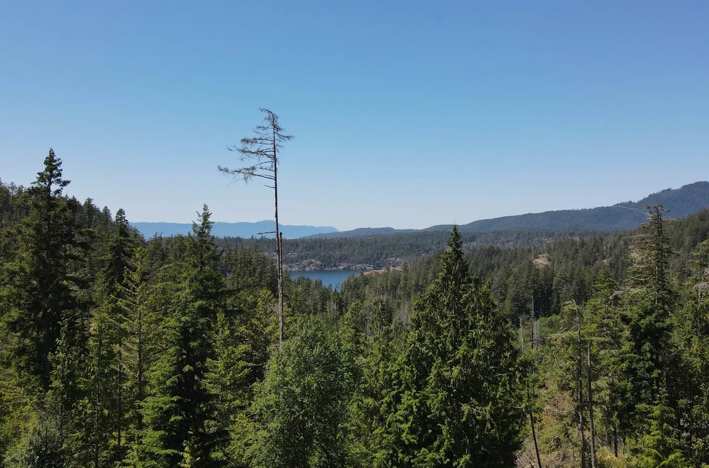 Lot 8 13803 LEE ROAD, Pender Harbour BC V0N 1S1, Pender Harbour BC — Land for Sale - Photo 2