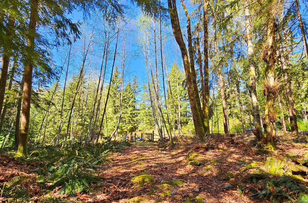 Lot 8 MOUNTAIN ROAD, Gambier Island BC V0N 1V0, Gambier Island BC — Land for Sale - Photo 2
