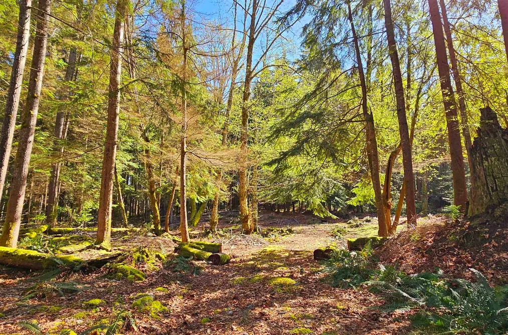 Lot 8 MOUNTAIN ROAD, Gambier Island BC V0N 1V0, Gambier Island BC — Land for Sale - Photo 6
