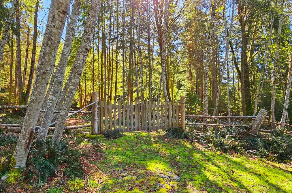 Lot 8 MOUNTAIN ROAD, Gambier Island BC V0N 1V0, Gambier Island BC — Land for Sale - Photo 7