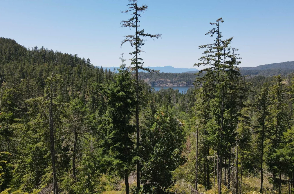 Lot 9 13803 LEE ROAD, Pender Harbour BC V0N 1S1, Pender Harbour BC — Land for Sale - Photo 2