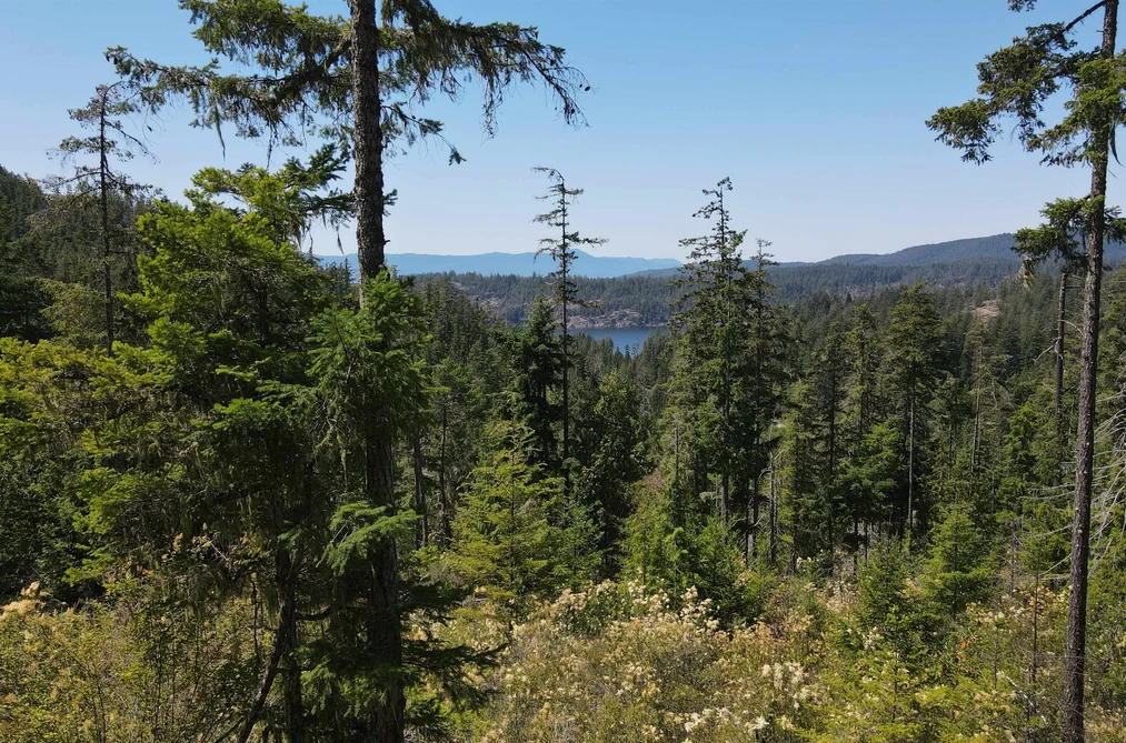 Lot 9 13803 LEE ROAD, Pender Harbour BC V0N 1S1, Pender Harbour BC — Land for Sale - Photo 4