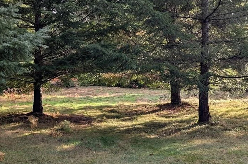 Lot 9 MOUNTAIN ROAD, Gambier Island BC V0N 1V0, Gambier Island BC — Land for Sale - Photo 5