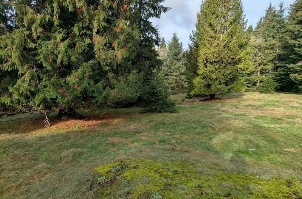 Lot 9 MOUNTAIN ROAD, Gambier Island BC V0N 1V0, Gambier Island BC — Land for Sale - Photo 6