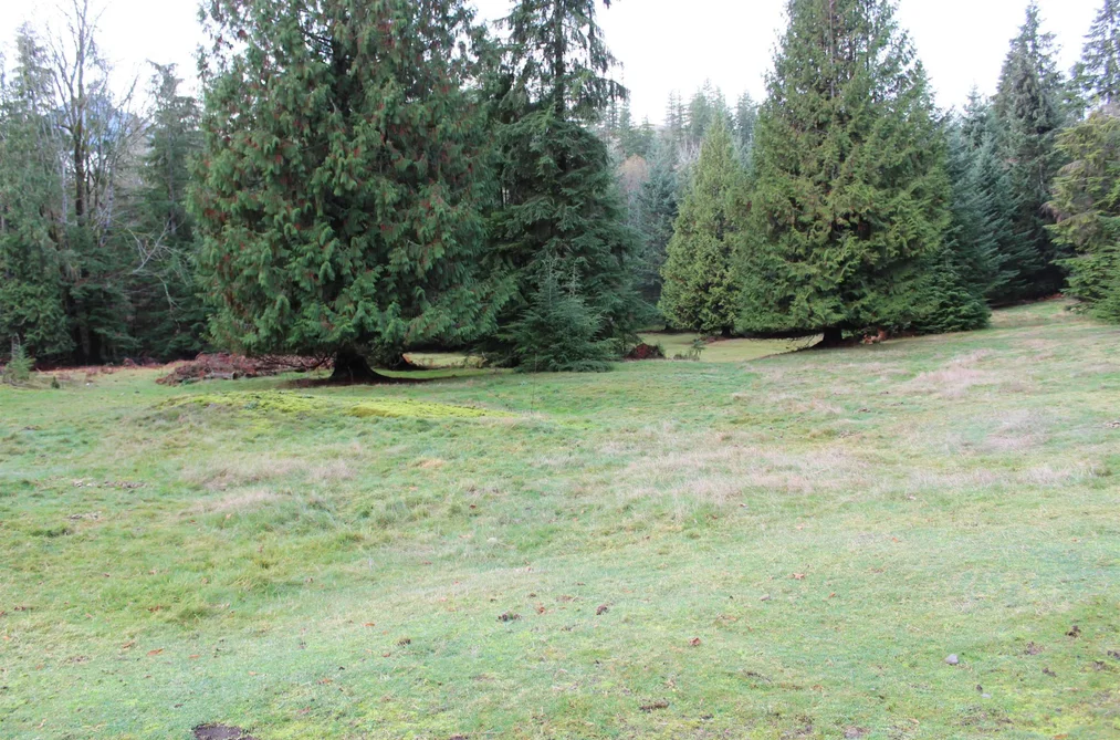Lot 9 MOUNTAIN ROAD, Gambier Island BC V0N 1V0, Gambier Island BC — Land for Sale - Photo 7