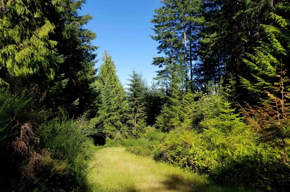 Property for sale at Lot A Lord Road Galiano Island British Columbia - MLS: R3024070