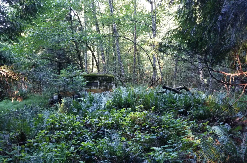 LOT A LORD ROAD, Galiano Island BC V0N 1P0, Galiano Island BC — Land for Sale - Photo 4