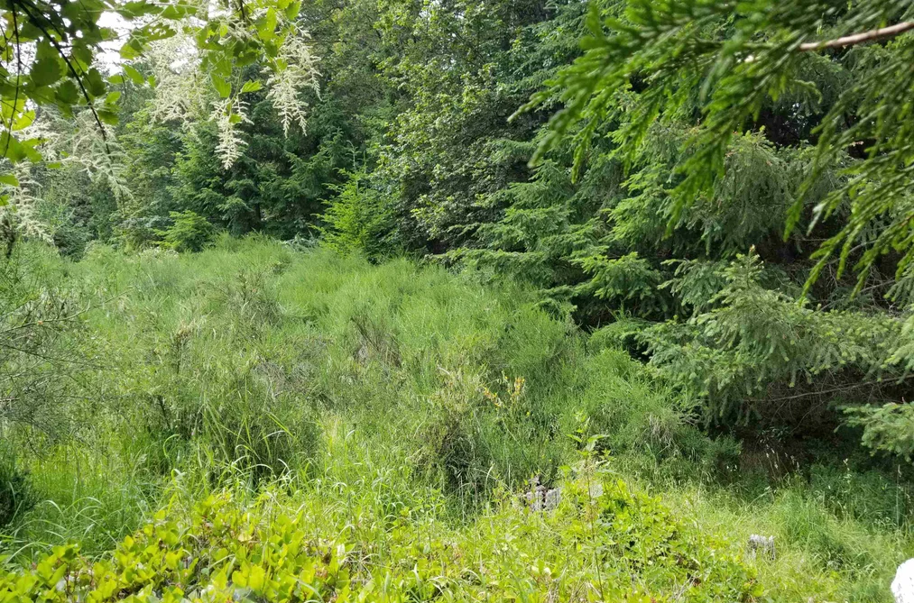 LOT A LORD ROAD, Galiano Island BC V0N 1P0, Galiano Island BC — Land for Sale - Photo 5