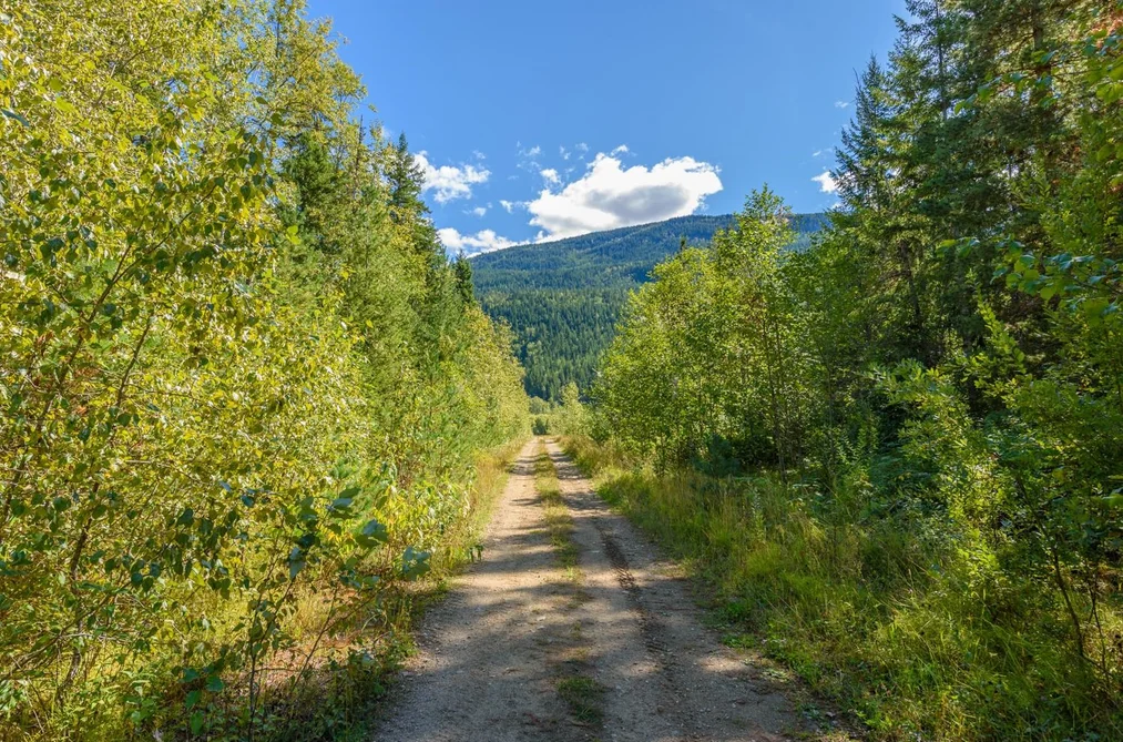LOT A & LOT 6 ANSTEY ARM, No City Value BC V0E 1M7, No City Value BC — Land for Sale - Photo 3