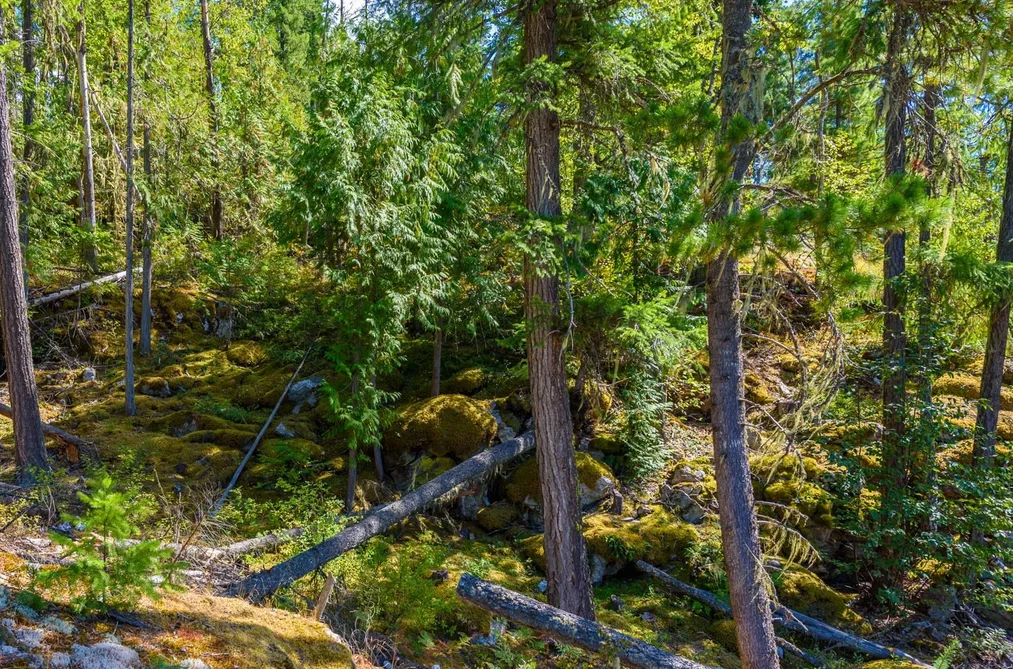 LOT A & LOT 6 ANSTEY ARM, No City Value BC V0E 1M7, No City Value BC — Land for Sale - Photo 5