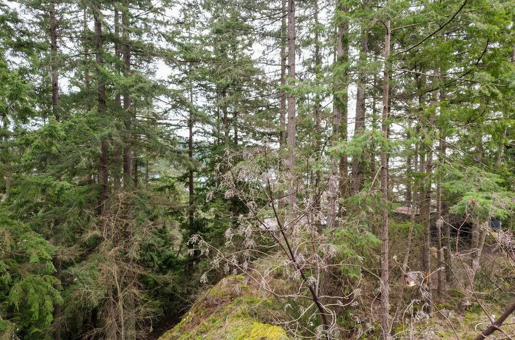 Lot A SKYLINE DRIVE, Gibsons BC V0N 1V8, Gibsons BC — Land for Sale - Photo 5