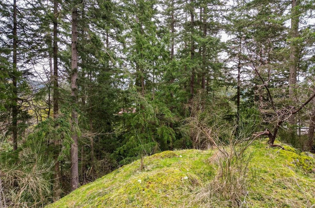 Lot A SKYLINE DRIVE, Gibsons BC V0N 1V8, Gibsons BC — Land for Sale - Photo 7