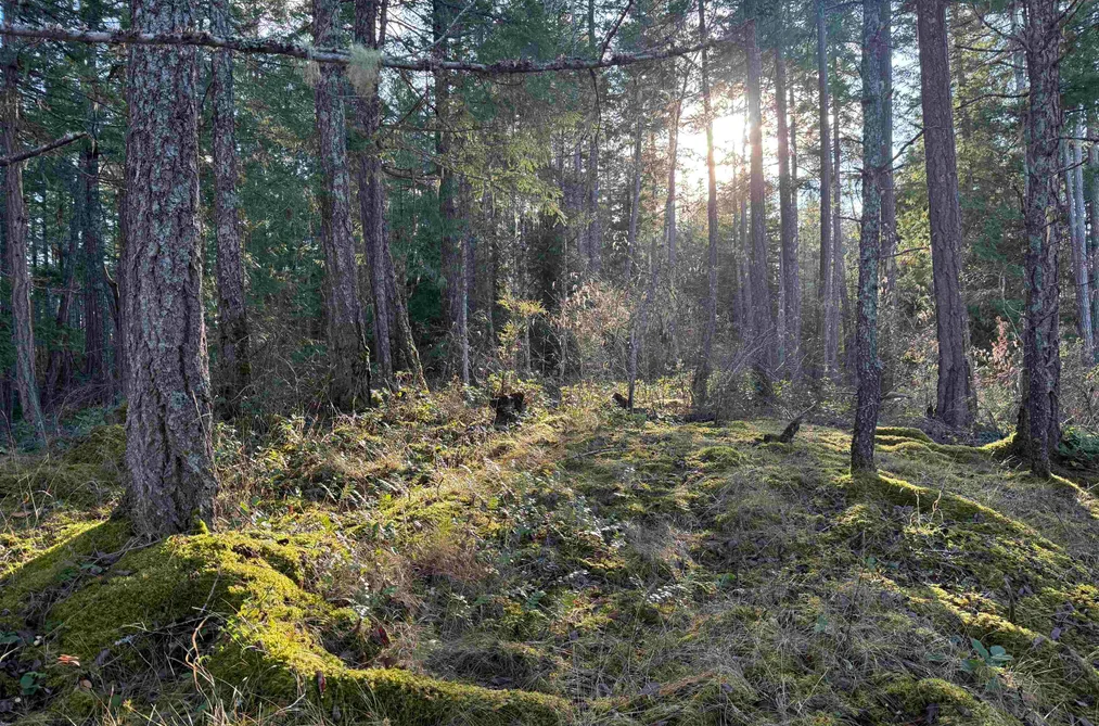 LOT B FRANCIS PENINSULA ROAD, Madeira Park BC V0N 2H1, Madeira Park BC — Land for Sale - Photo 2