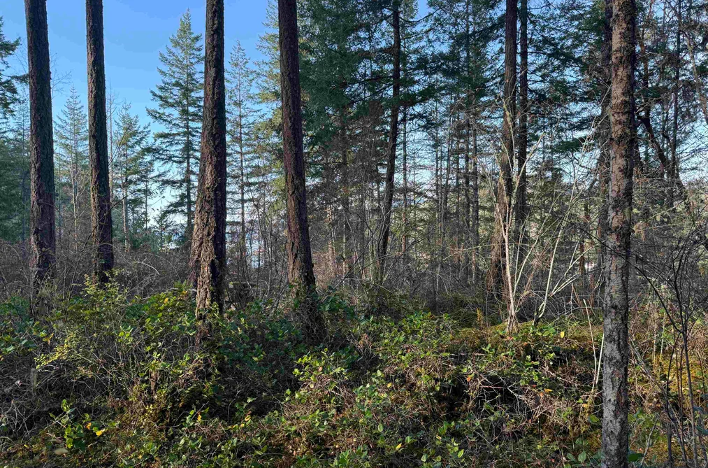 LOT B FRANCIS PENINSULA ROAD, Madeira Park BC V0N 2H1, Madeira Park BC — Land for Sale - Photo 3