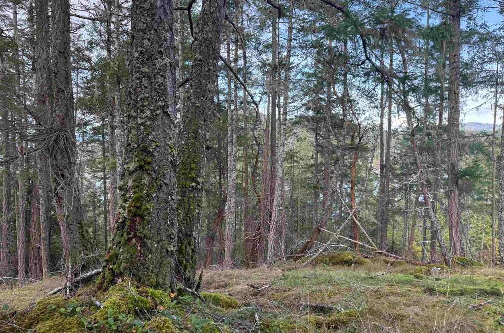 LOT B FRANCIS PENINSULA ROAD, Madeira Park BC V0N 2H1, Madeira Park BC — Land for Sale - Photo 6
