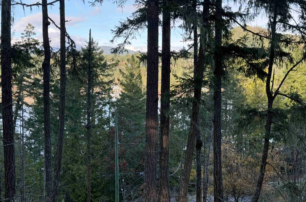 LOT B FRANCIS PENINSULA ROAD, Madeira Park BC V0N 2H1, Madeira Park BC — Land for Sale - Photo 7