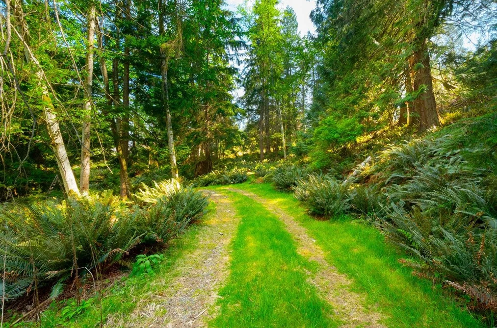 LOT B HIKER'S TRAIL, Bowen Island BC V0N 1G2, Bowen Island BC — Land for Sale - Photo 3