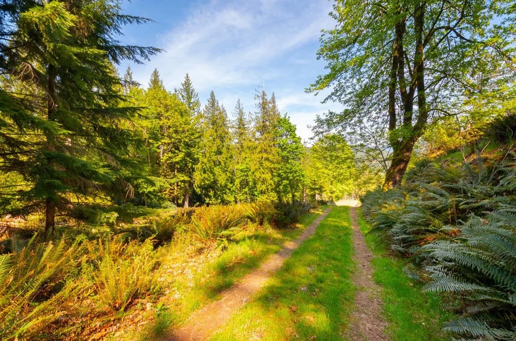 LOT B HIKER'S TRAIL, Bowen Island BC V0N 1G2, Bowen Island BC — Land for Sale - Photo 4