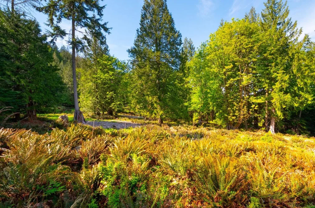 LOT B HIKER'S TRAIL, Bowen Island BC V0N 1G2, Bowen Island BC — Land for Sale - Photo 5