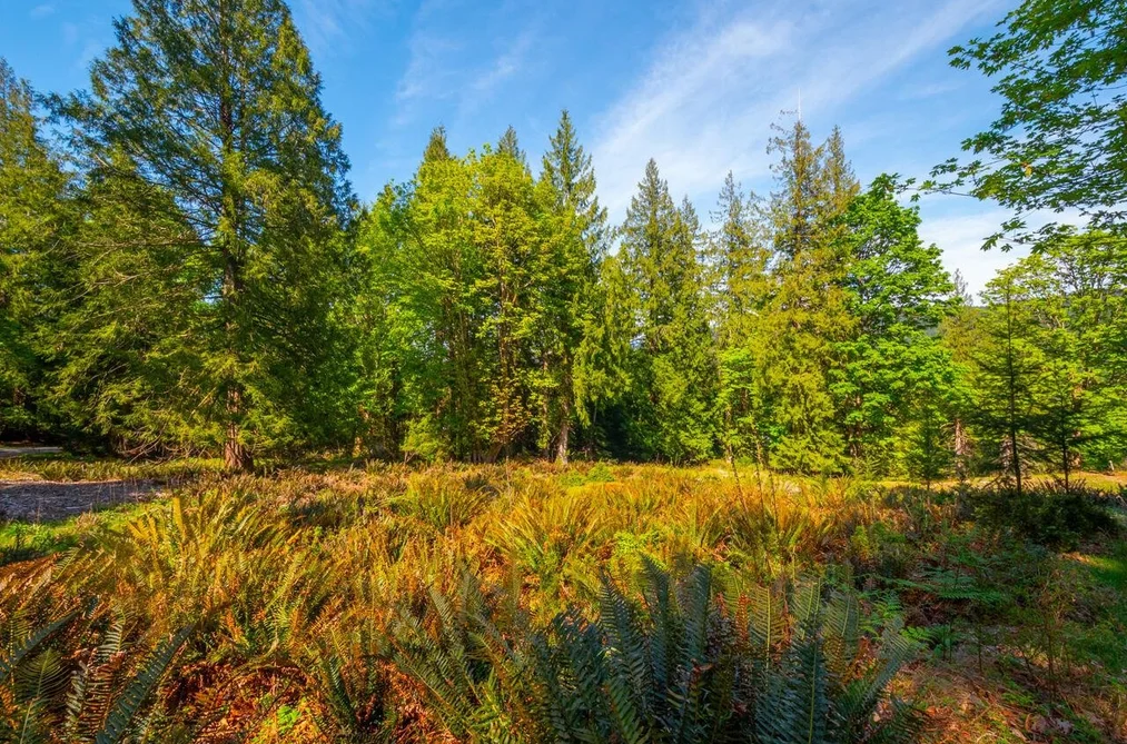 LOT B HIKER'S TRAIL, Bowen Island BC V0N 1G2, Bowen Island BC — Land for Sale - Photo 6