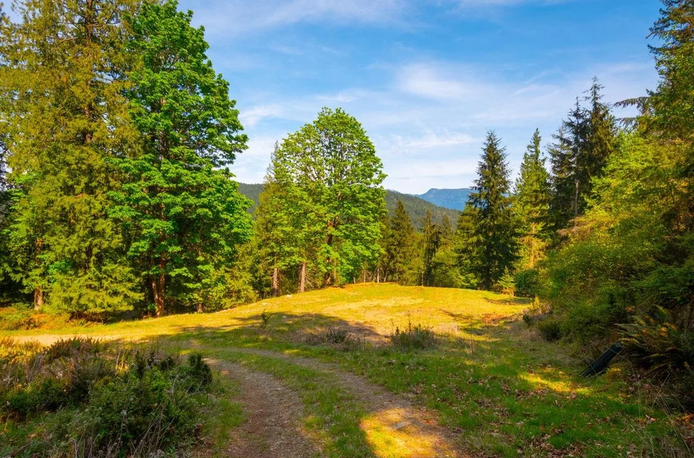 LOT B HIKER'S TRAIL, Bowen Island BC V0N 1G2, Bowen Island BC — Land for Sale - Photo 7