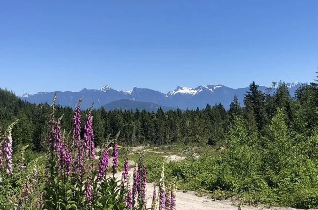 Property for sale at Lot D Elphinstone Crossing Gibsons British Columbia - MLS: R3012818