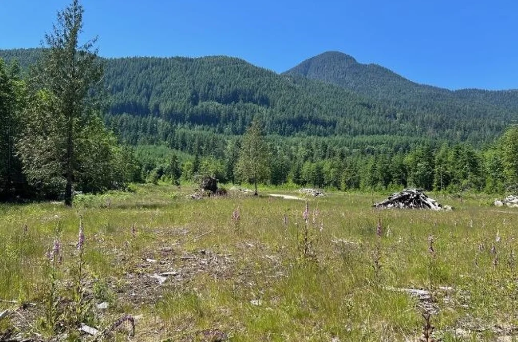 Lot D ELPHINSTONE CROSSING, Gibsons BC V0N 1V9, Gibsons BC — Land for Sale - Photo 3