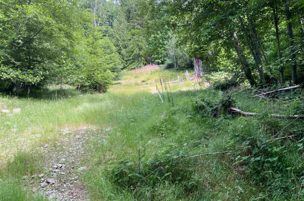 LOT H COTTON BAY ROAD, Gambier Island BC V0N 1V0, Gambier Island BC — Land for Sale - Photo 2