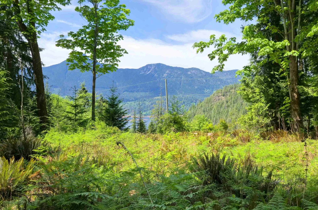 LOT I COTTON BAY ROAD, Gambier Island BC V0N 1V0, Gambier Island BC — Land for Sale - Photo 2