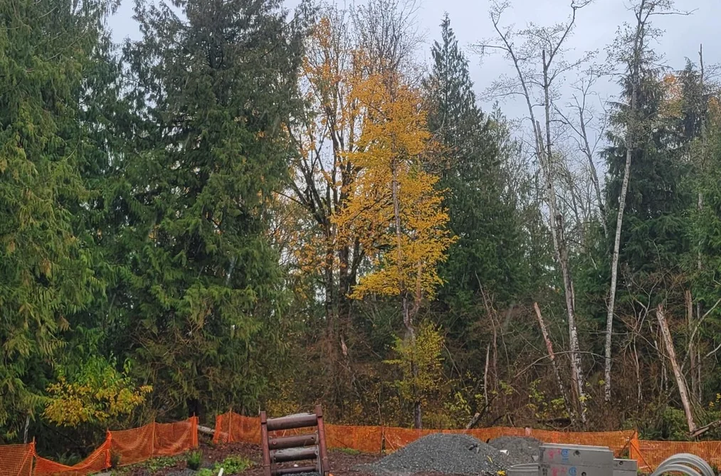 LT. 583 STEPHEN LEACOCK DRIVE, Abbotsford BC V0V 0V0, Abbotsford BC — Land for Sale - Photo 2